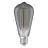 Ledvance Vintage 1906 LED E27 Edison Smoke 11W 500lm - 818 Bianco Molto Caldo | Dimmerabile - Sostitutiva 42W