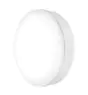 Ledvance Surface Bulkhead 250 10W 840 800lm Bianca IP65 | Bianco Freddo